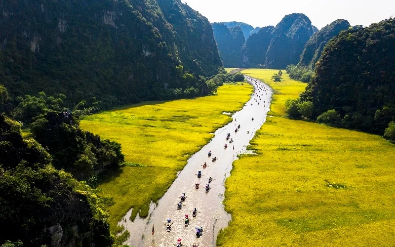 Top 8 đồng lúa đẹp nhất trải dài khắp Việt Nam 7