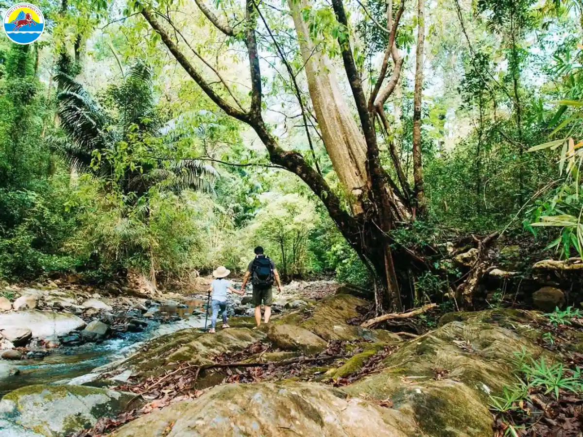 Du lịch Đồng Phú Bình Phước, khám phá vùng đất cửa ngõ sơn thủy hữu tình 6