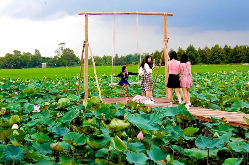 Đồng Sen Tháp Mười, vùng đất ngát hương của loài hoa thanh khiết 6