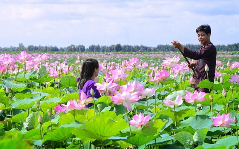 Khu du lịch Đồng Tháp Mười: Trải nghiệm chậm giữa thiên nhiên 5