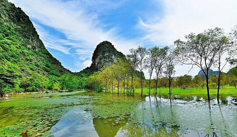 Động Tiên Sơn, lạc cảnh hiếm có giữa lòng Thanh Hóa 3