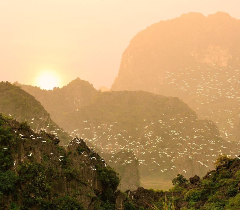 Động Vái Giời: Hành trình khám phá 3 cõi huyền bí giữa lòng di sản 6