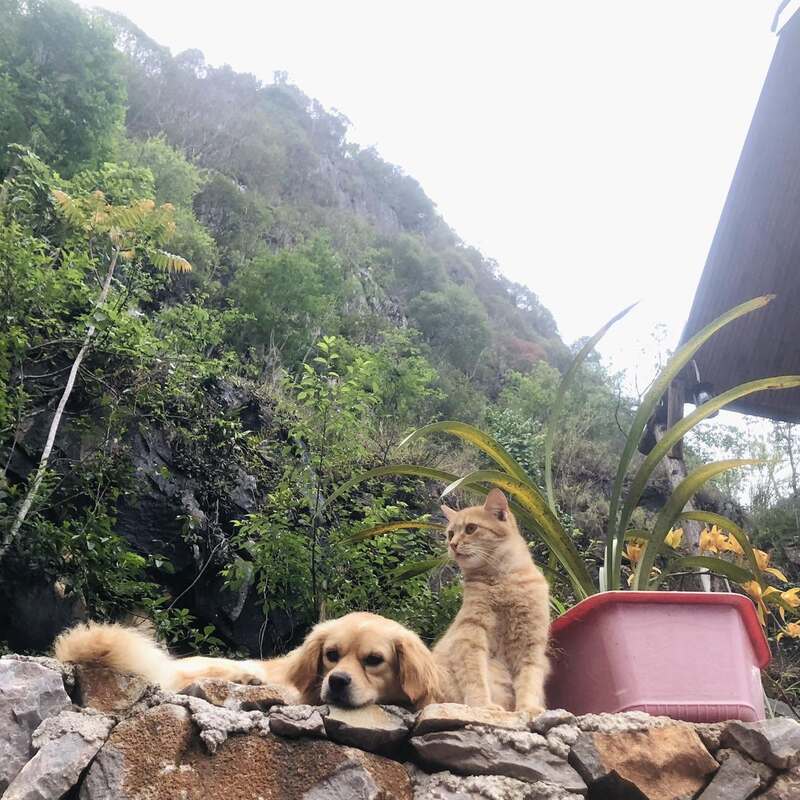 Review Dong Van Cliffside House, nhà bên vách đá sát vách phố cổ 7