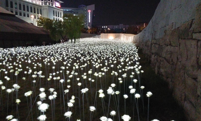 Check in Dongdaemun Design Plaza với kiến trúc đầy ấn tượng 9