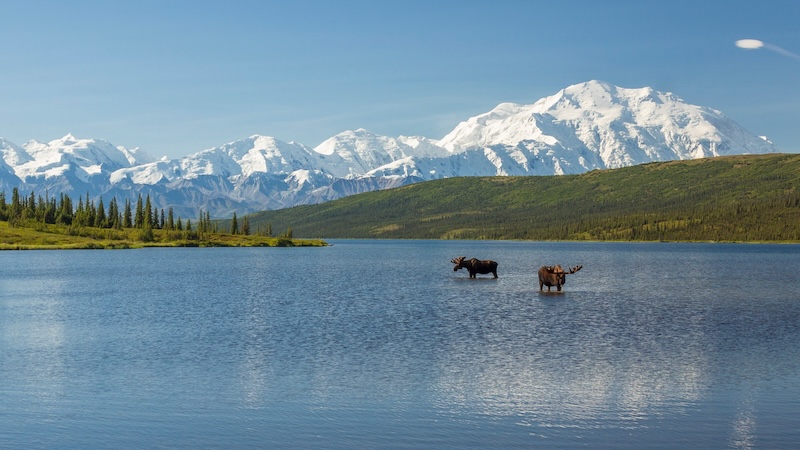Du lịch Alaska, thiên đường băng với các trải nghiệm thú vị 9