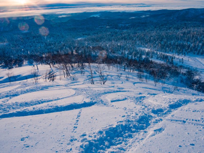 Khám phá Asahikawa: Những điểm du lịch đẹp ngây ngất bạn phải ghé qua 9