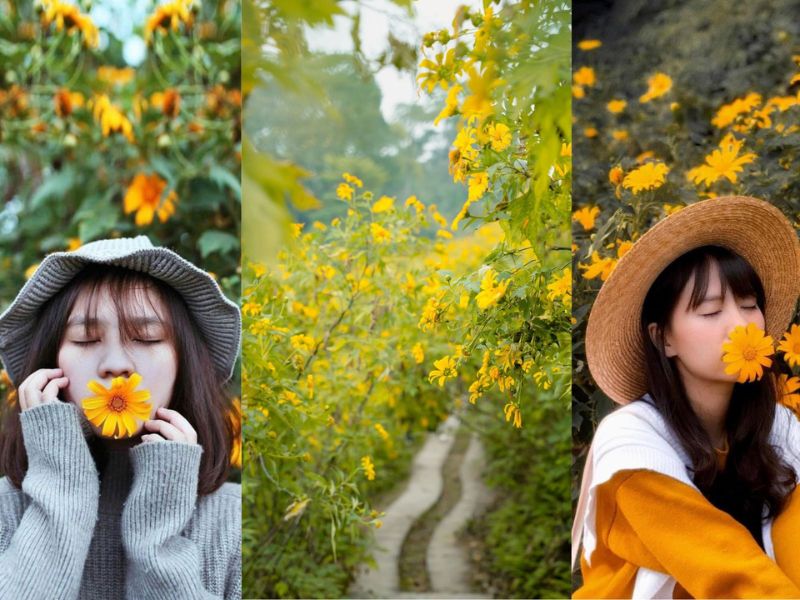 Kinh nghiệm du lịch Ba Vì 2 ngày 1 đêm tự túc từ A - Z 2