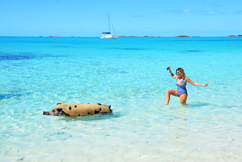 Chinh phục Bahamas, thiên đường Đảo lợn xinh đẹp tại Tây Ấn 9