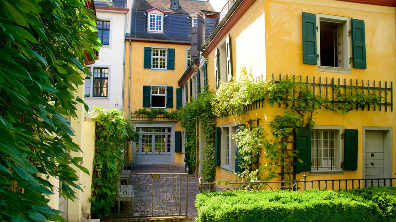 Khám phá Bonn, thị trấn nhỏ bên dòng sông Rhine thơ mộng 6