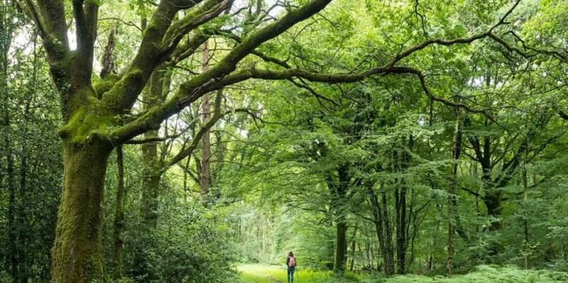 Du lịch Bretagne: Miền gió biển hoang sơ tây bắc nước Pháp 15