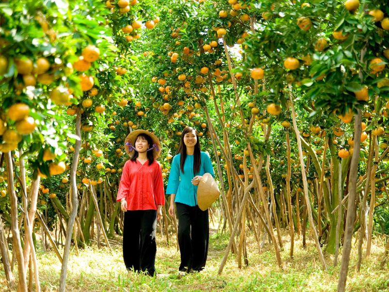 Du lịch Cần Thơ tháng 7: Mùa trái cây miệt vườn đáng trải nghiệm 2
