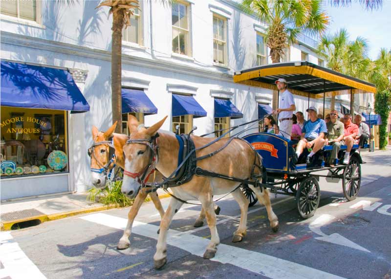 Du lịch Charleston, khám phá thành phố thân thiện nhất thế giới 13