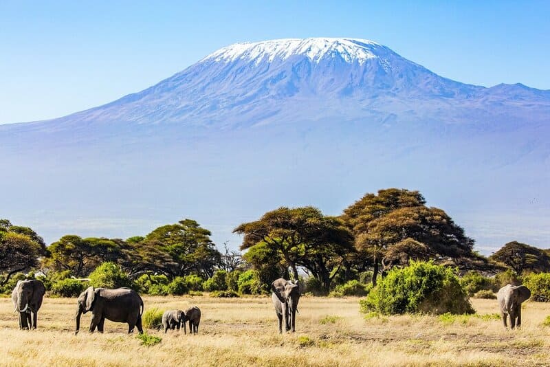 Du lịch Châu Phi và khám phá thiên đường hoang dã 11