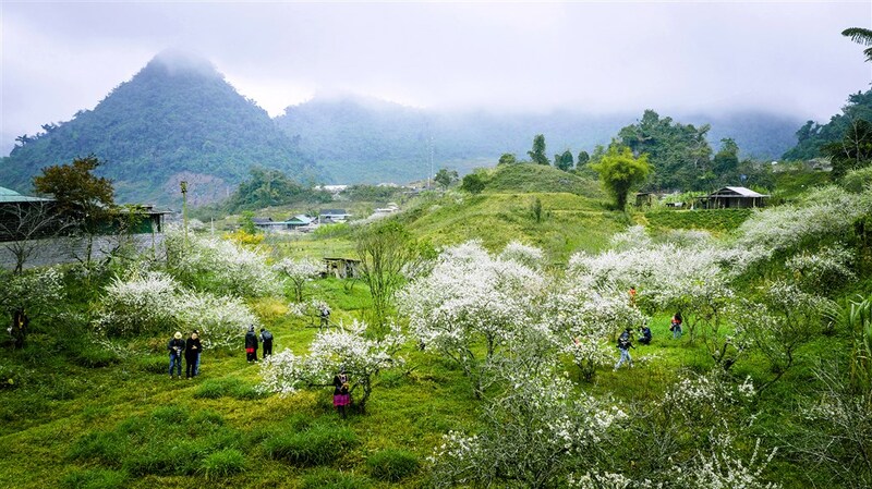 Cẩm nang du lịch Con Cuông: Vùng đất hoang sơ miền Tây xứ Nghệ 11