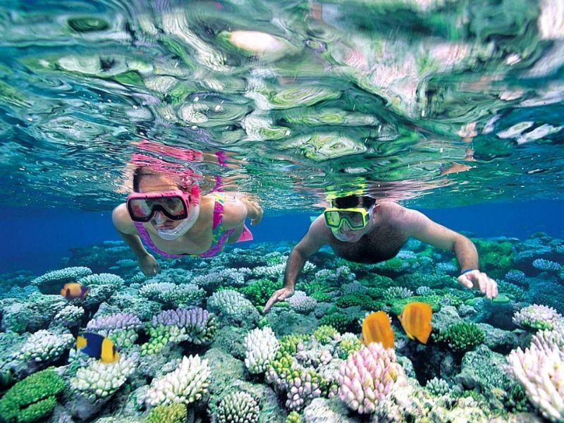 Du lịch Côn Đảo tháng 5: Thời tiết, lịch trình và kinh nghiệm cần biết 5