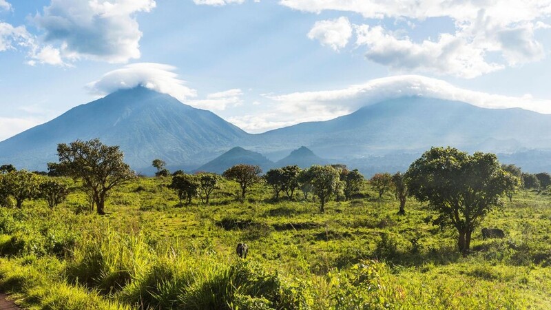 Kinh nghiệm du lịch Congo tự túc, chinh phục trái tim xanh của Châu Phi 4