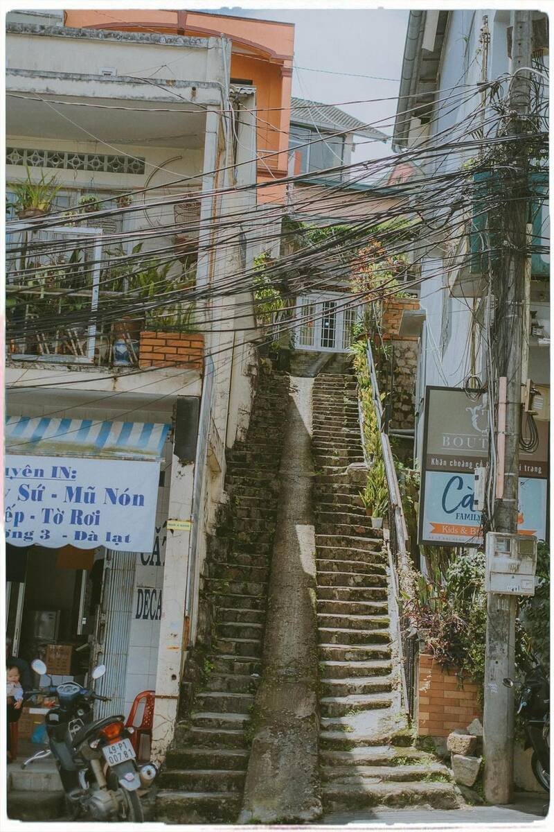 Cẩm nang du lịch Đà Lạt 2026 với 28 địa điểm nổi tiếng 37