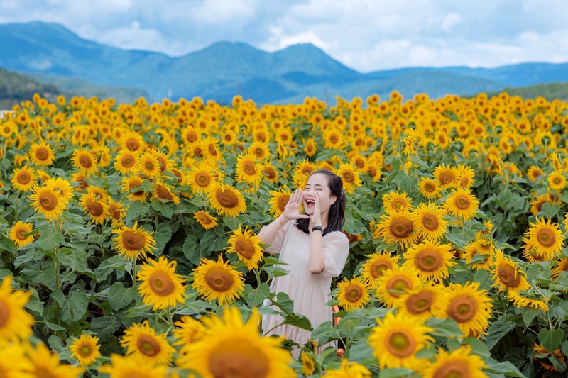 Du lịch Đà Lạt tháng 7: Mưa có làm sao khi thành phố đẹp đến nao lòng 8