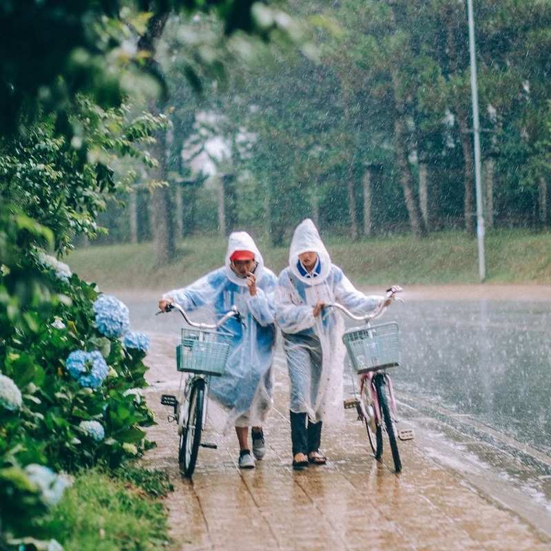 Du lịch Đà Lạt tháng 7: Mưa có làm sao khi thành phố đẹp đến nao lòng 3