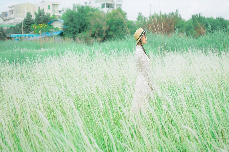 Du lịch Đà Lạt tháng 7: Mưa có làm sao khi thành phố đẹp đến nao lòng 7