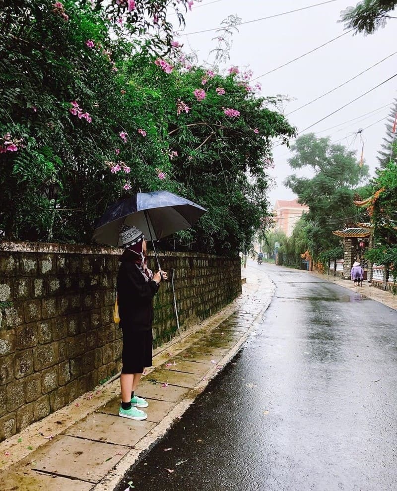 Du lịch Đà Lạt tháng 7: Mưa có làm sao khi thành phố đẹp đến nao lòng 11