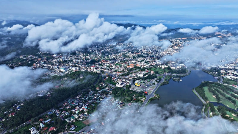 Du lịch Đà Lạt tháng 8, nơi rừng thông rực rỡ trong nắng 14