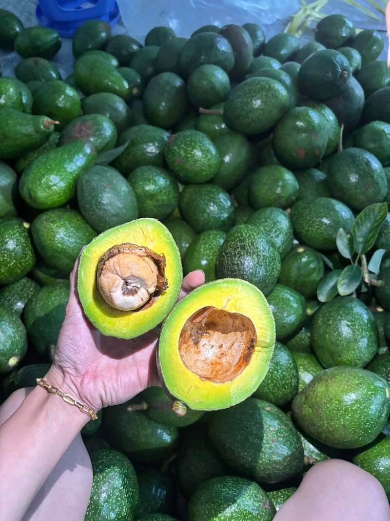 Du lịch Đắk Nông cùng những điểm đến ngây ngất lòng người 24
