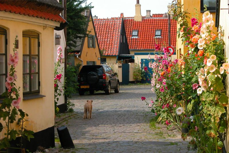 Du lịch Đan Mạch giải mã danh xưng quốc gia hạnh phúc nhất thế giới 5