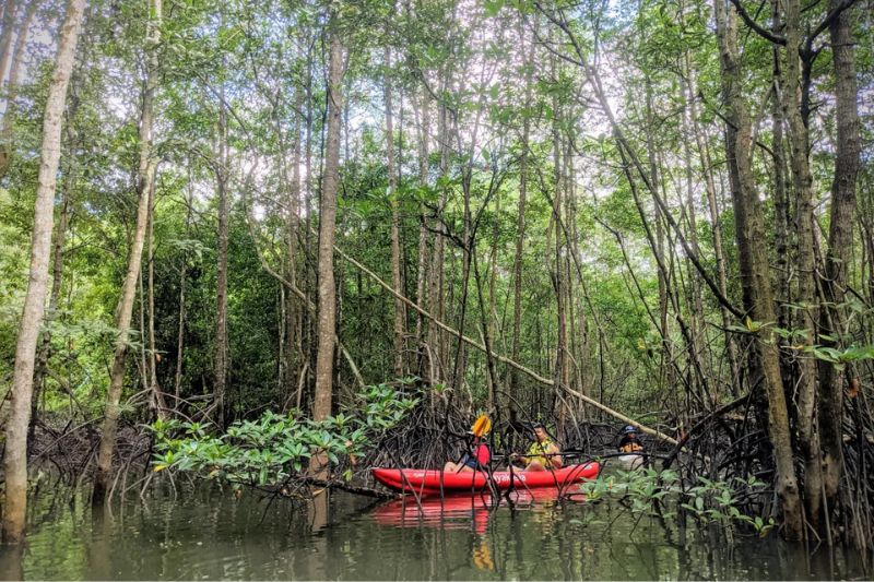 Pulau Ubin, hòn đảo ngưng đọng thời gian ngoài khơi Singapore 5