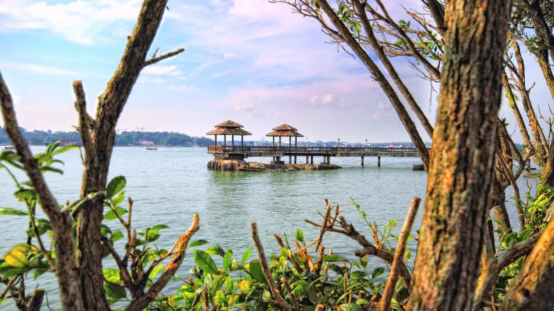 Pulau Ubin, hòn đảo ngưng đọng thời gian ngoài khơi Singapore 9