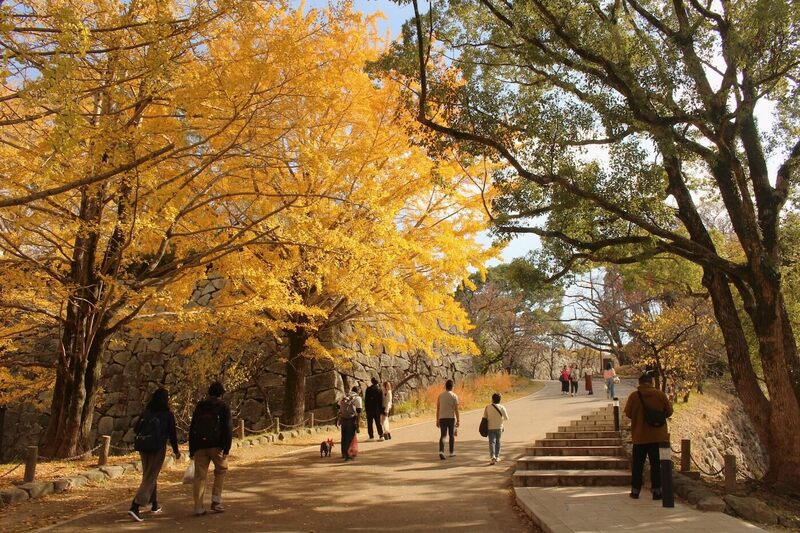 Du lịch Fukuoka tự túc với lịch trình ăn chơi, đi lại chi tiết 7