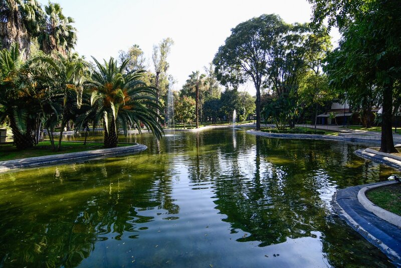 Trải nghiệm thành phố Guadalajara mang “chất Mexico nhất” 4