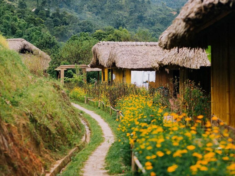 Du lịch Hà Giang tháng 8: Khám phá vẻ đẹp mùa giao sắc trên vùng cao 11