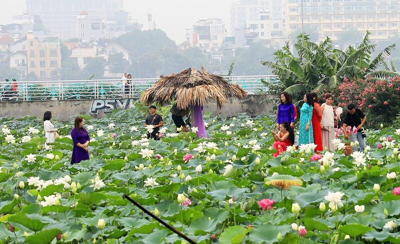 Du lịch Hà Nội tháng 7, hành trình khám phá ngày hè rực rỡ thủ đô 4