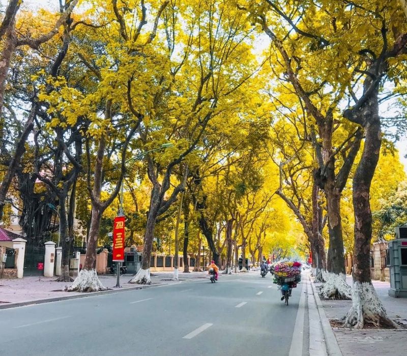 Du lịch Hà Nội tháng 8: Kinh nghiệm 'săn' mùa thu và cẩm nang khám phá Thủ đô từ A-Z 2