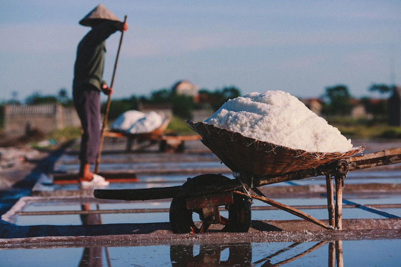 Khám phá Hải Hậu Nam Định với Nhà thờ đổ, cầu ngói, biển và làng nghề 9