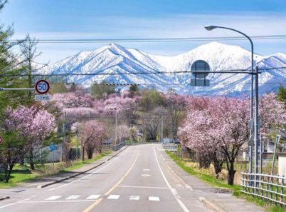 Du lịch Hokkaido khám phá vẻ đẹp miền Bắc tuyết trắng