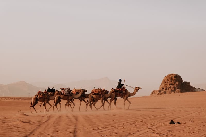 Khám phá bức tranh du lịch Jordan mang đậm sắc màu Arab huyền bí 2