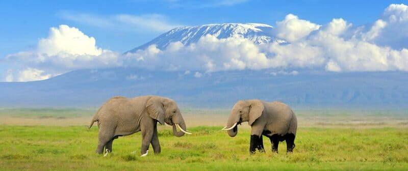 Du lịch Kenya và khám phá vẻ đẹp nguyên sơ nơi lục địa Đen 3