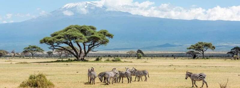 Du lịch Kenya và khám phá vẻ đẹp nguyên sơ nơi lục địa Đen 6