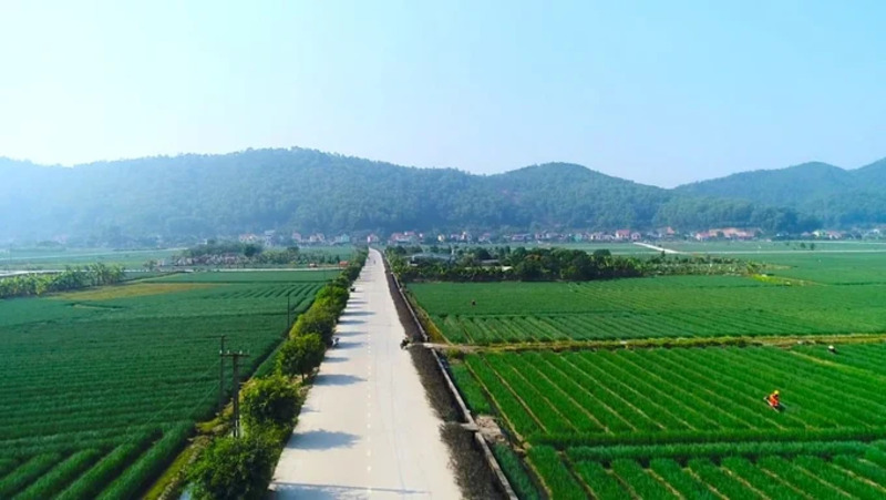 Kinh nghiệm du lịch Kinh Môn, Hải Dương chi tiết 2026 7