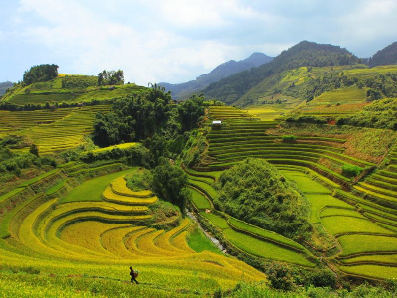 Kinh nghiệm du lịch Lào Cai 2025 từ A–Z: Đi đâu, ăn gì, ở đâu 2