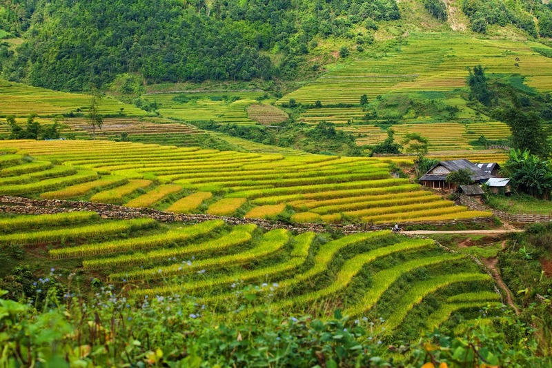 Hành trình du lịch Mai Châu, tìm về bản làng bình yên 3