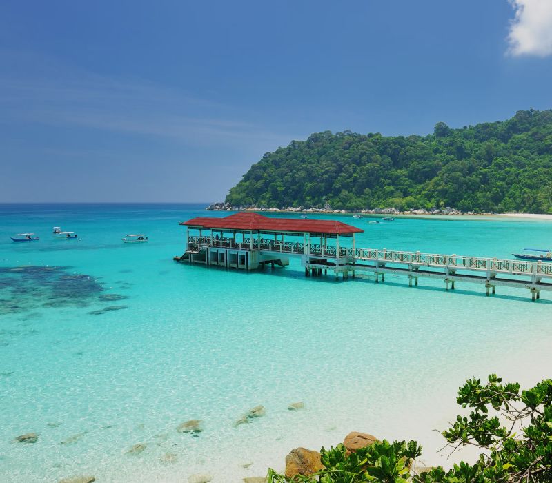 Du lịch Malaysia tháng 7: Cẩm nang kinh nghiệm và trải nghiệm chi tiết 3
