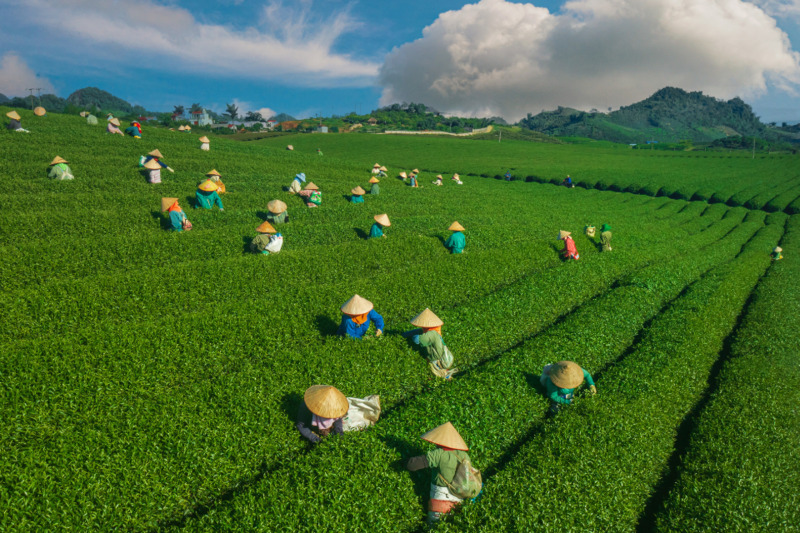 Top 10 điểm du lịch miền Bắc tháng 5 tận hưởng mùa hè xanh mát 3