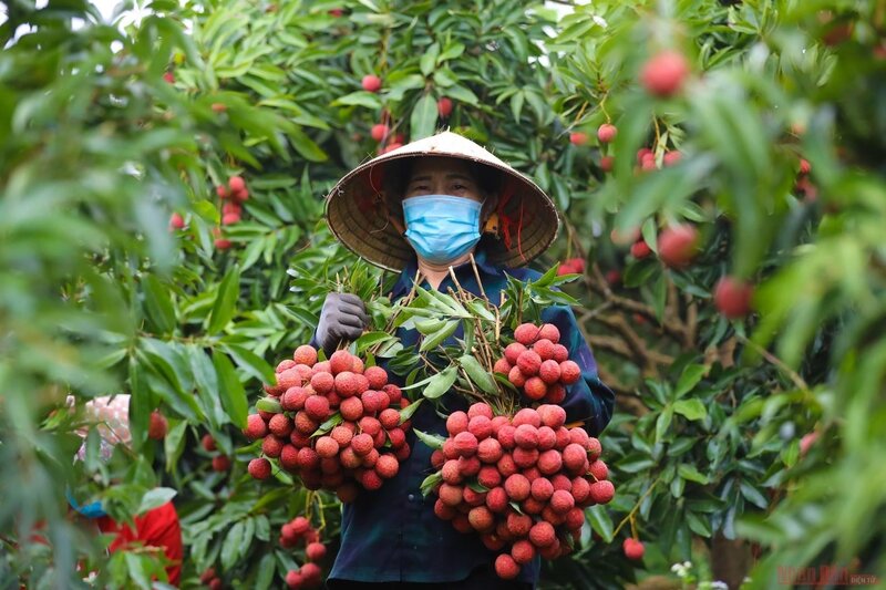 Kinh nghiệm du lịch miền Bắc tháng 6, thời tiết và những điểm đến lý tưởng 5
