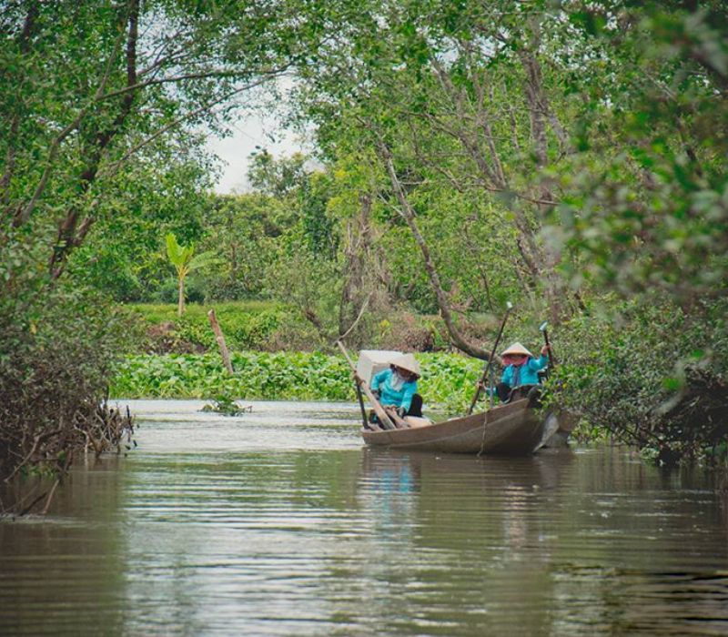 Du lịch miệt vườn Miền Tây, trải nghiệm vườn trái cây trĩu quả 12