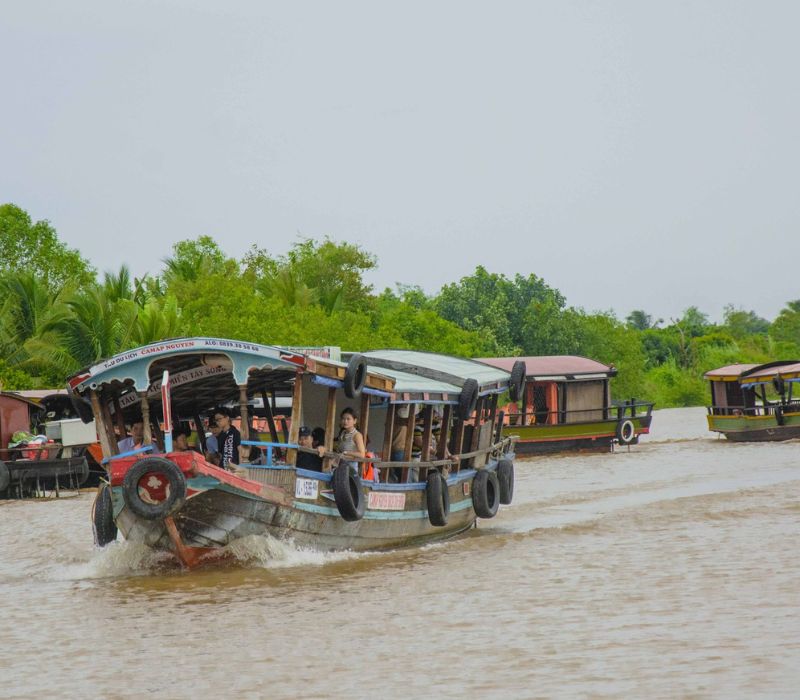 Du lịch miệt vườn Miền Tây, trải nghiệm vườn trái cây trĩu quả 13