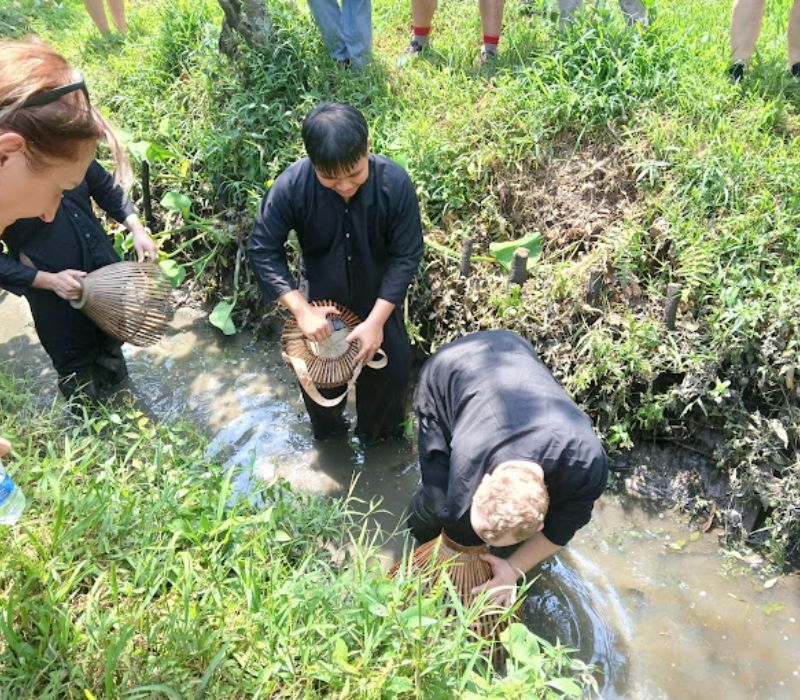 Du lịch miệt vườn Miền Tây, trải nghiệm vườn trái cây trĩu quả 7