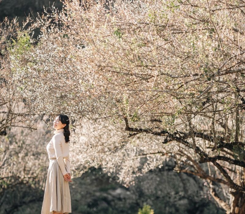 Du lịch Mộc Châu 2 ngày 1 đêm ngắm cao nguyên giữa mây trời Tây Bắc